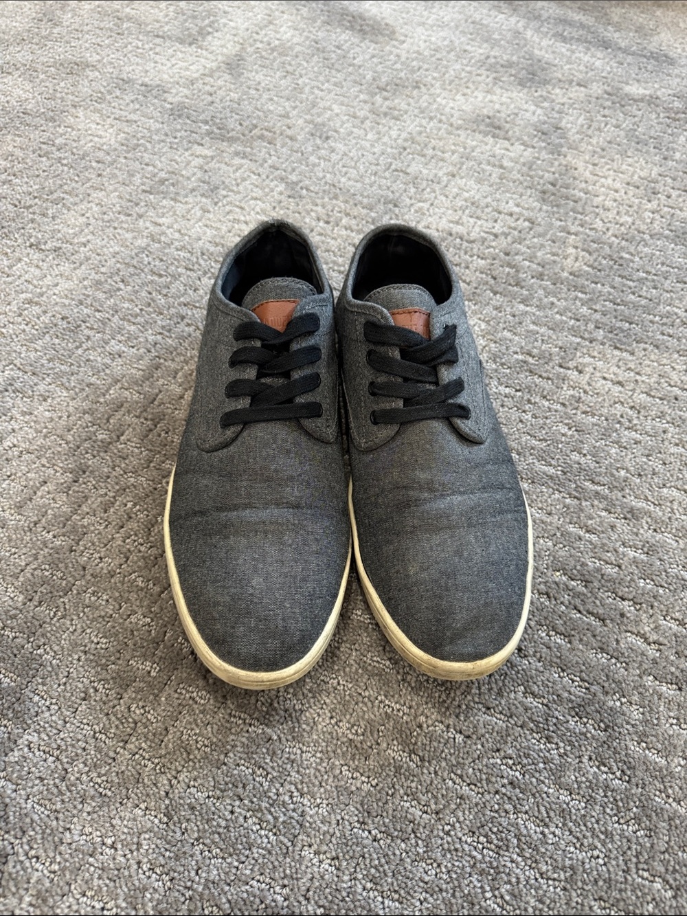 Steve Madden Men's Charcoal Canvas Lace-Up Sneakers